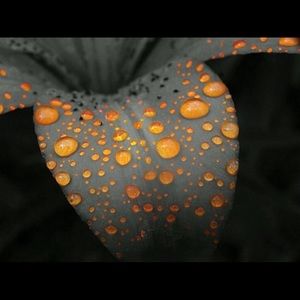 Meet your Posher, Yaira